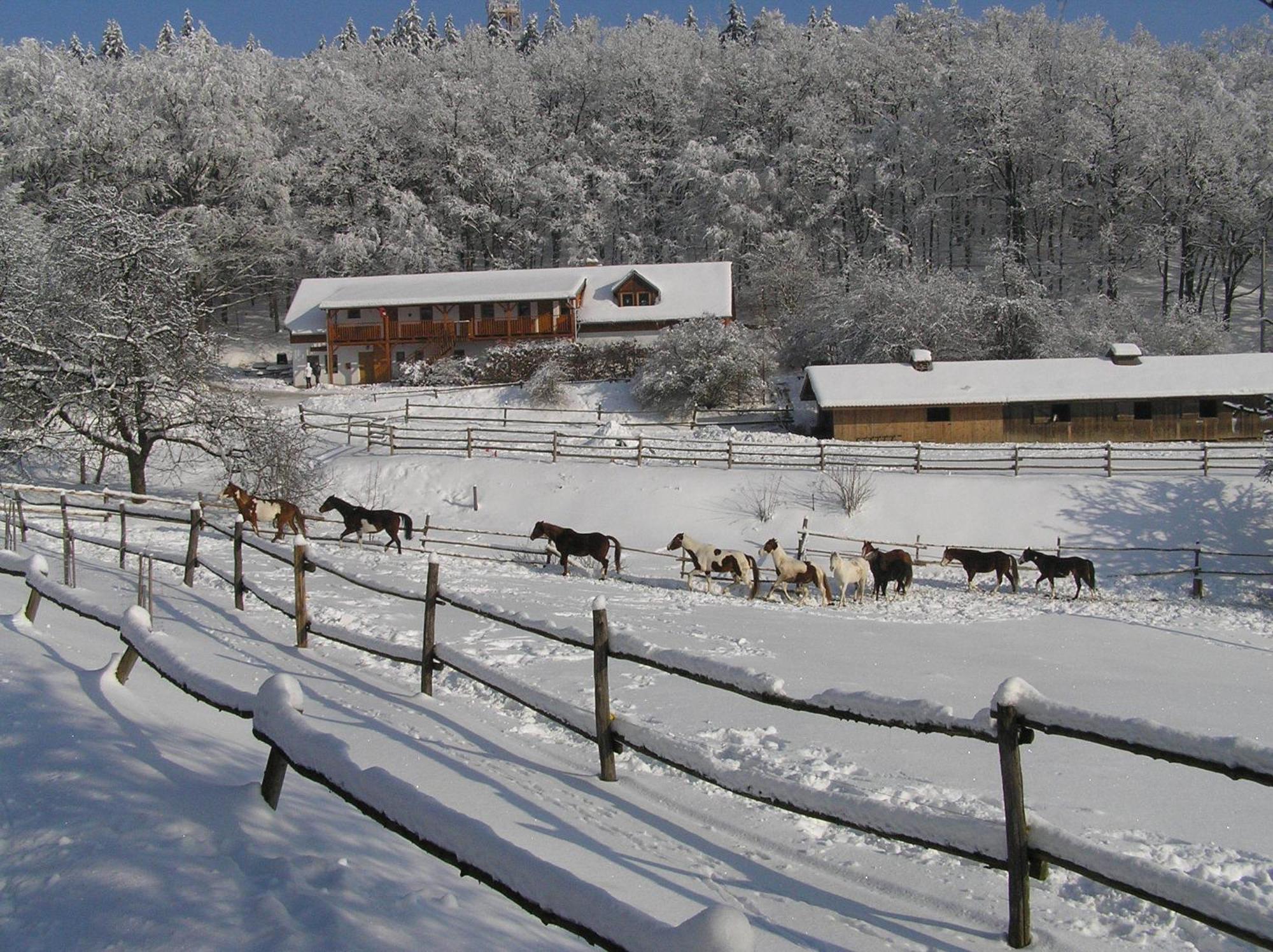 Penzion U Strakateho Kone Hotel Blansko Exterior photo